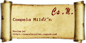 Csepela Milán névjegykártya